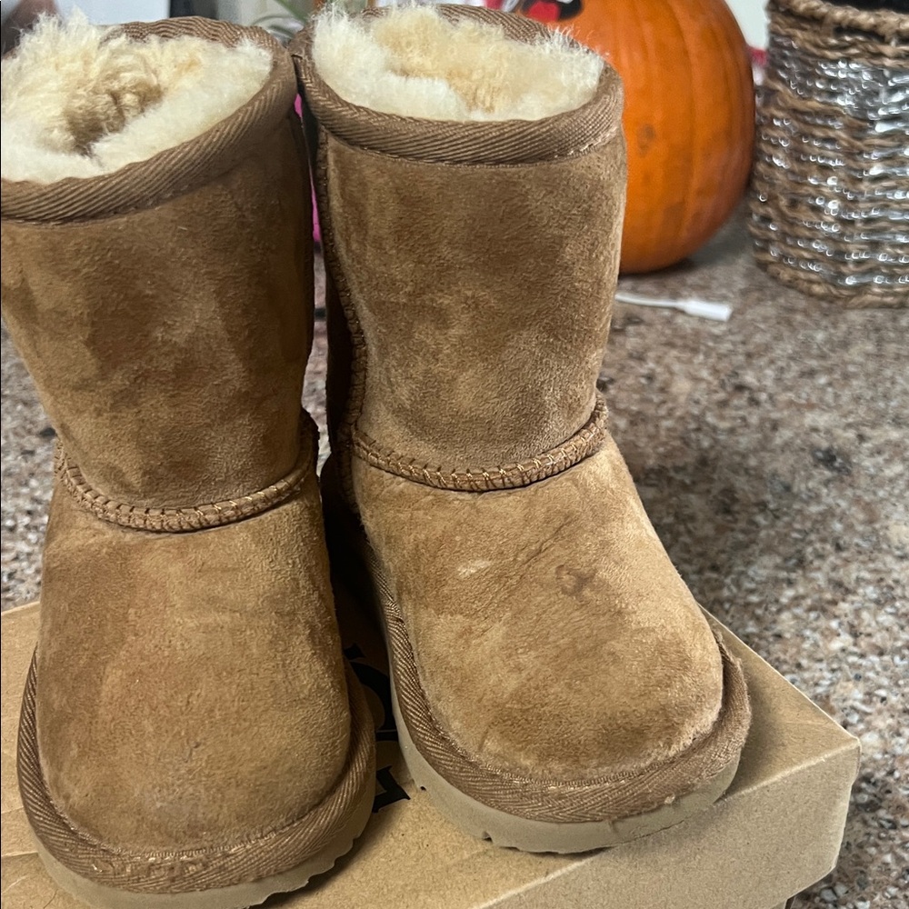 UGG Cream Shearling Lined Footwear